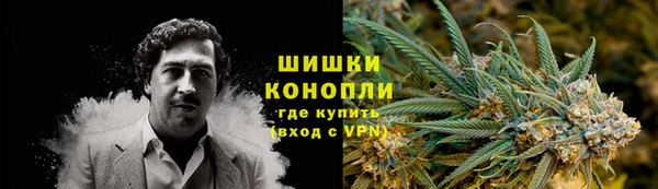 spice Богородск