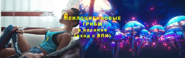 spice Богородск