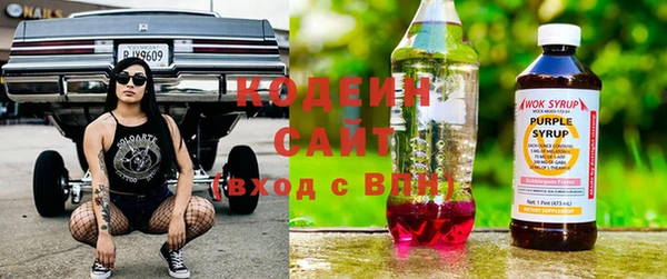 spice Богородск