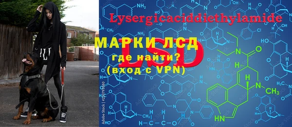 spice Богородск