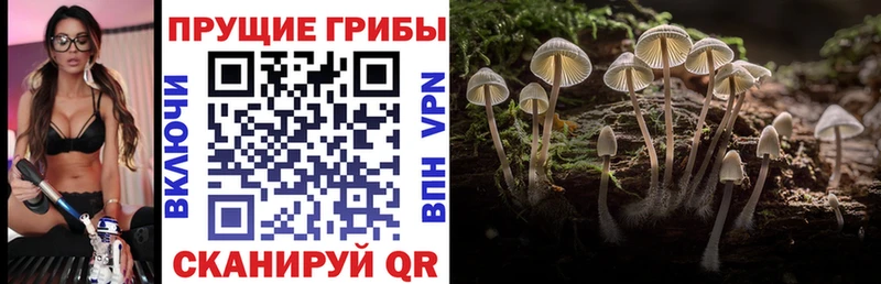 Купить закладки  Белоусово  Галлюциногенные грибы прущие грибы 